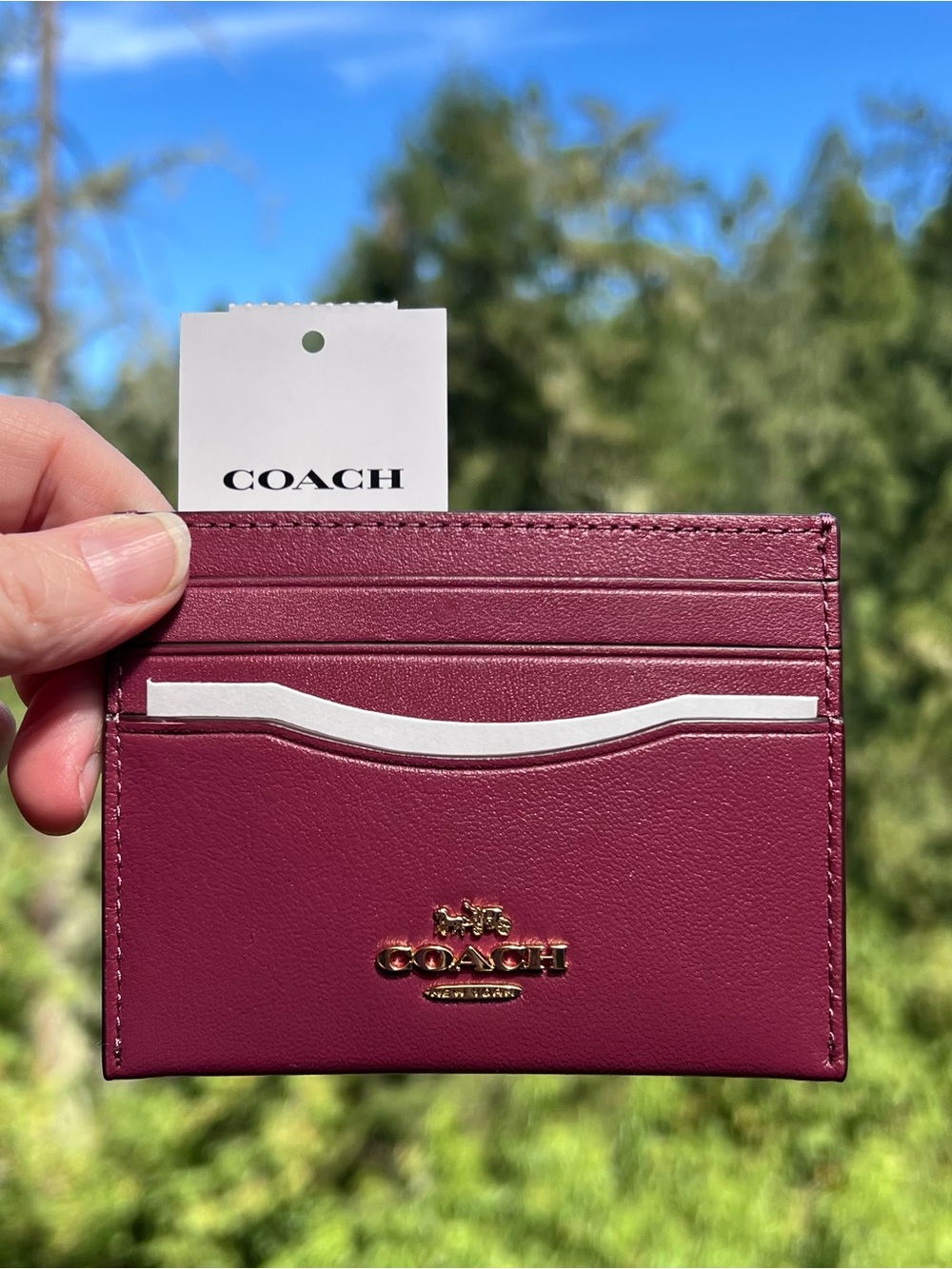 NWT! COACH Slim Id Card Case Pink Calf Leather Gold Hardware AUTHENTIC CAA88